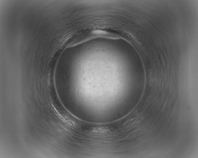 X0000052560451200507081640
