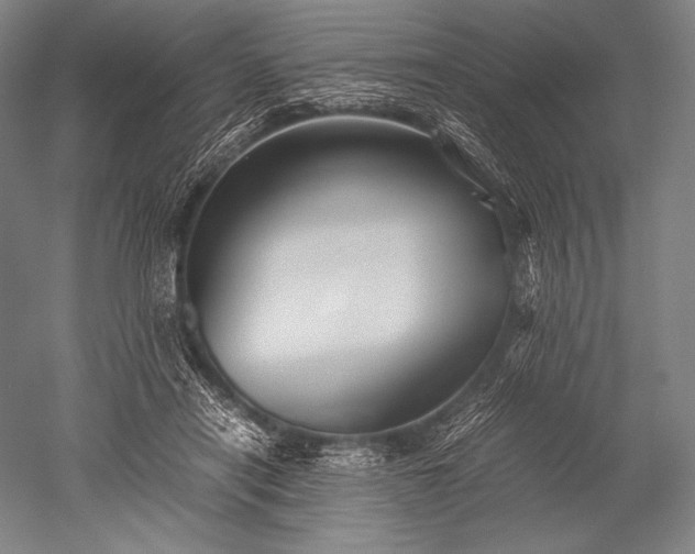 X0000052560454200507081640