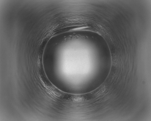 X0000052560456200507081640