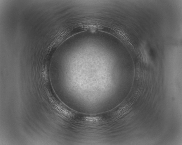 X0000052560457200507081640
