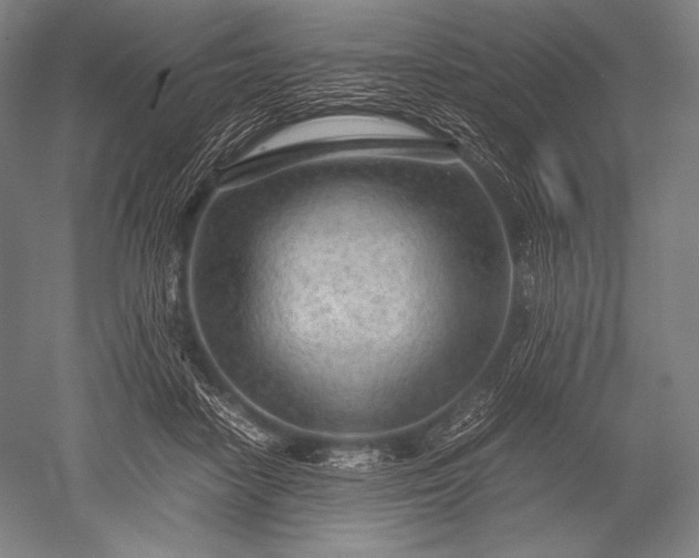 X0000052560458200507081640