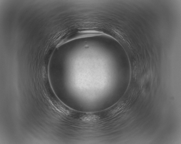 X0000052560459200507081640