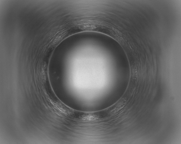 X0000052560460200507081640