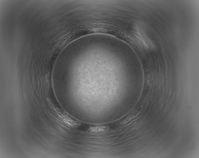 X0000052560461200507081640