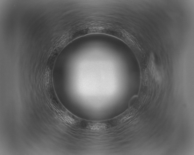 X0000052560463200507081640