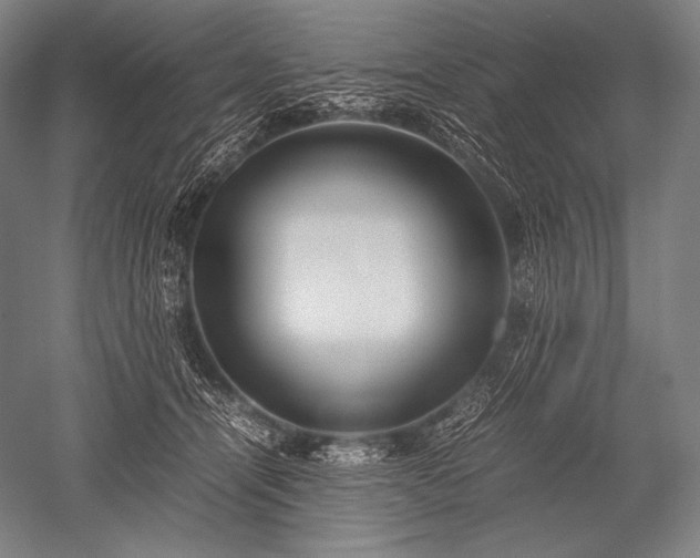 X0000052560464200507081640