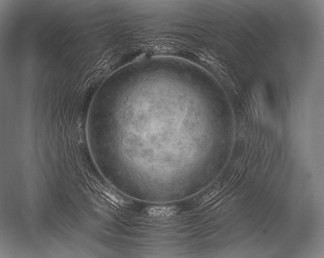X0000052560465200507081640