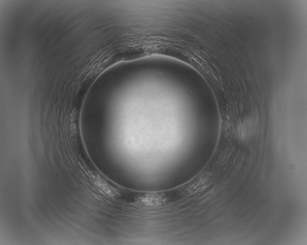 X0000052560466200507081640