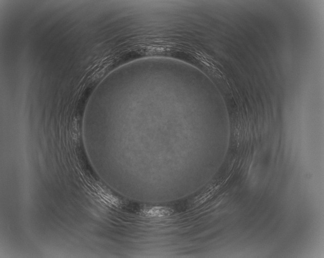 X0000052560467200507081640