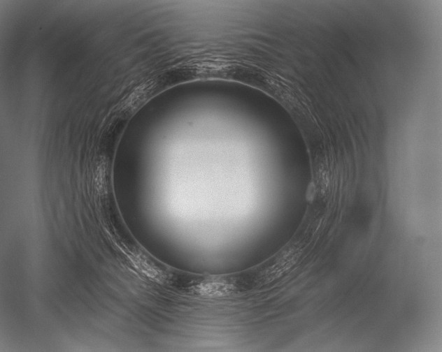 X0000052560468200507081640