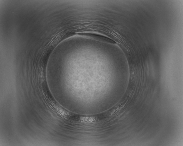 X0000052560469200507081640