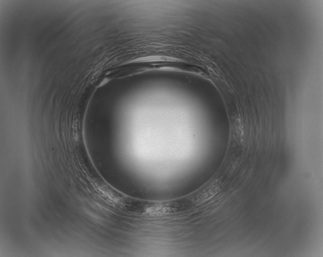 X0000052560470200507081640
