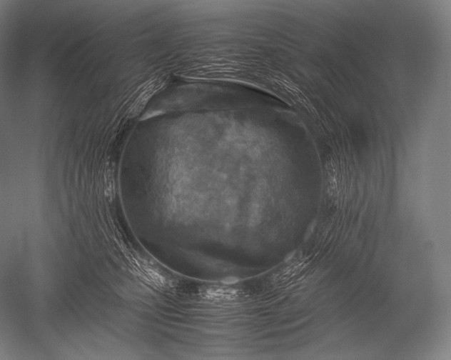 X0000052560471200507081640