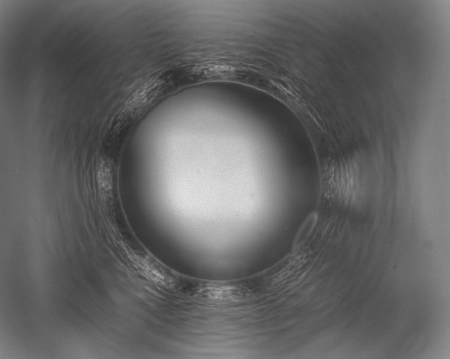 X0000052560472200507081640