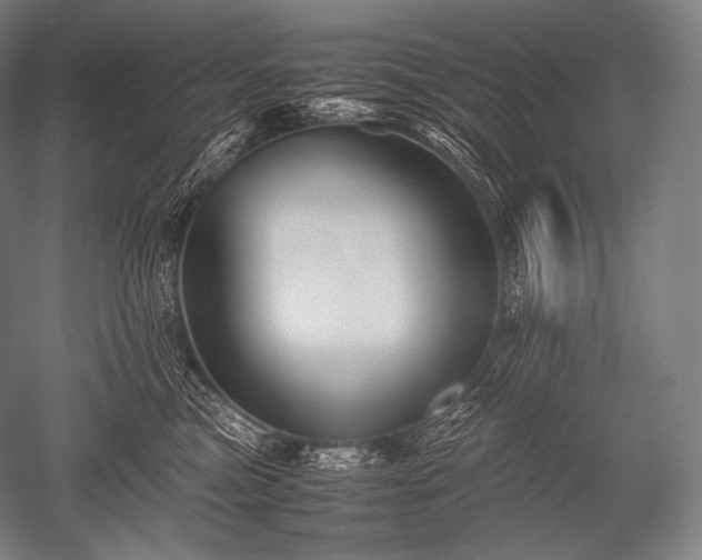 X0000052560473200507081640