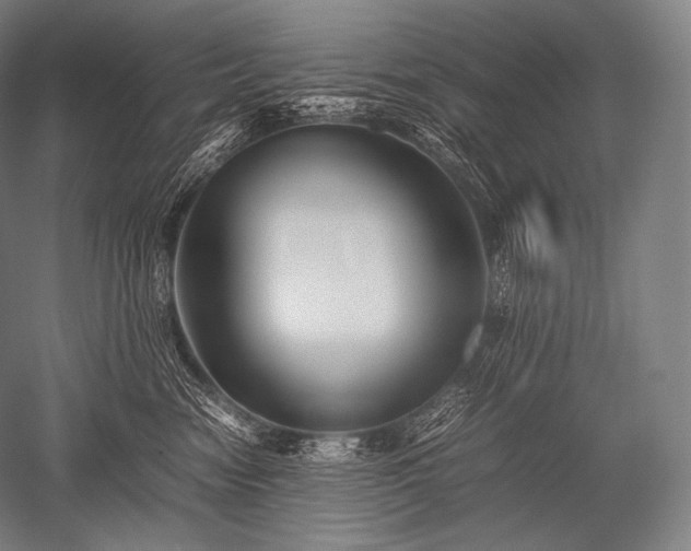 X0000052560474200507081640