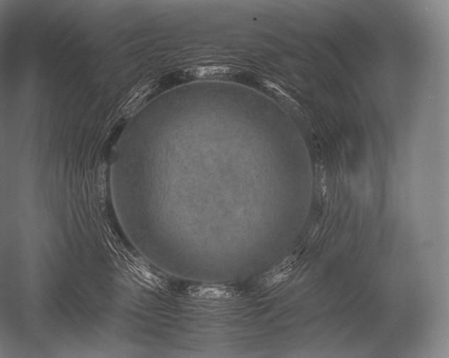 X0000052560475200507081640