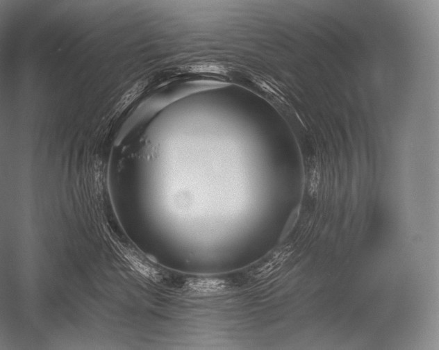 X0000052560476200507081640