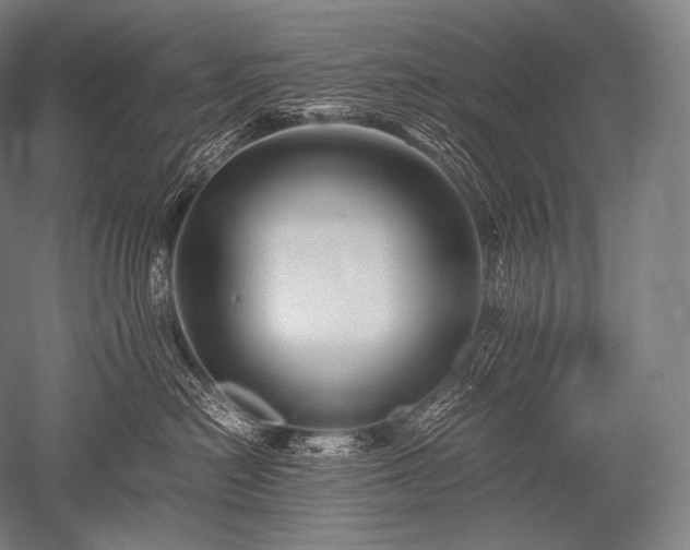 X0000052560478200507081640