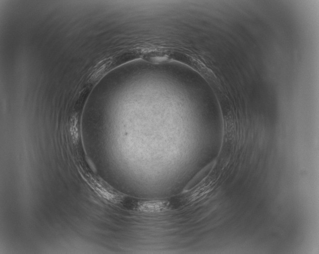X0000052560479200507081640