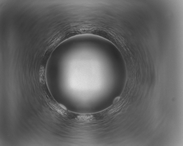 X0000052560480200507081640
