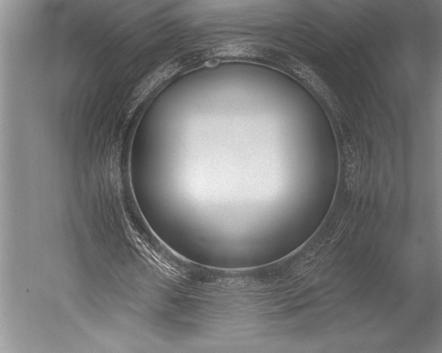X0000052560482200507081639
