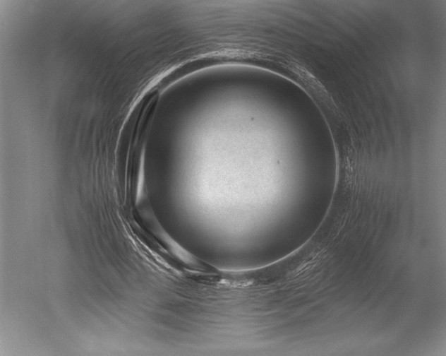 X0000052560484200507081639