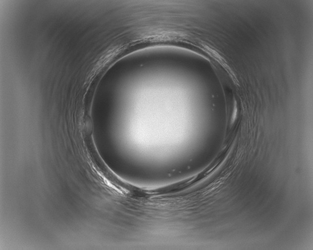 X0000052560485200507081639