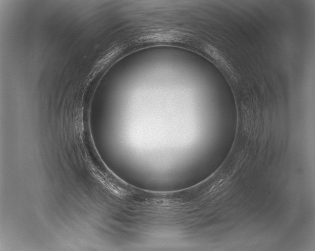 X0000052560486200507081639