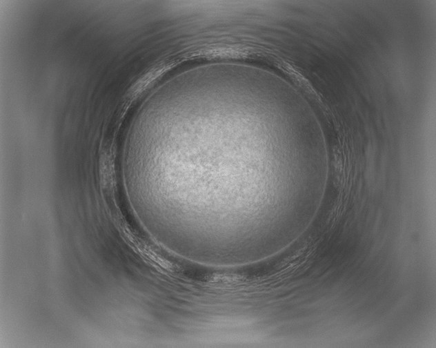 X0000052560487200507081639
