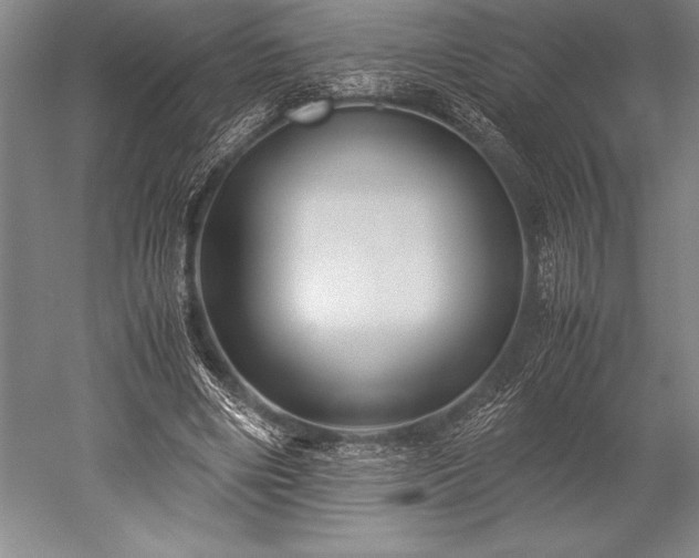 X0000052560490200507081639