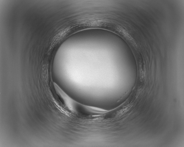X0000052560493200507081639