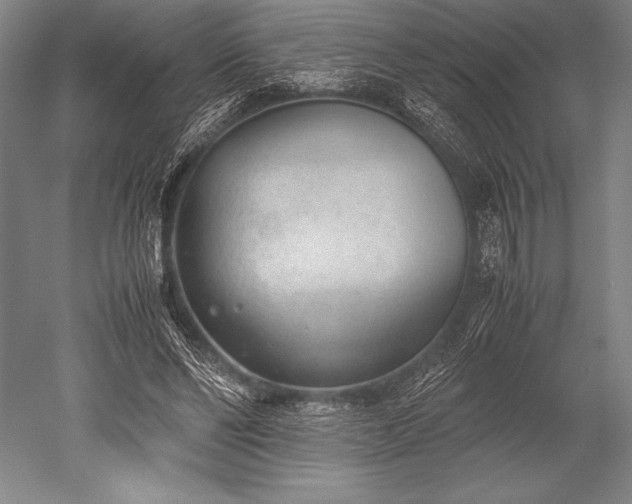X0000052560494200507081639