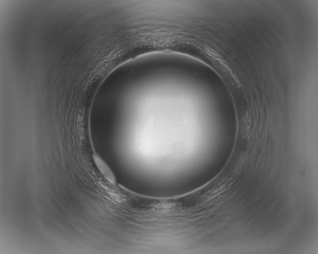 X0000052560497200507081639