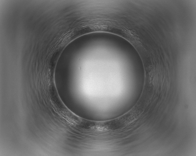 X0000052560498200507081639