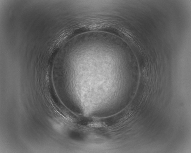 X0000052560499200507081639