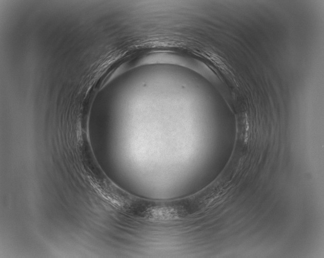 X0000052560500200507081639