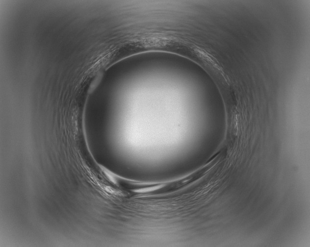 X0000052560501200507081639