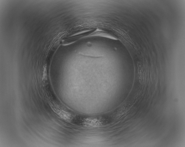 X0000052560502200507081639