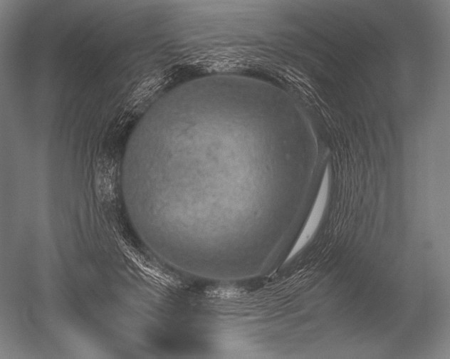 X0000052560503200507081639