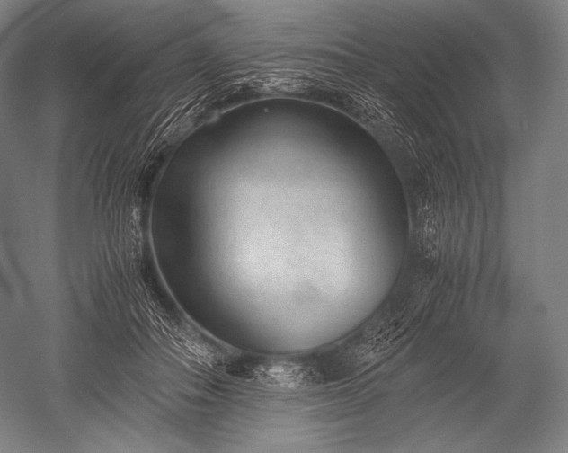 X0000052560506200507081639