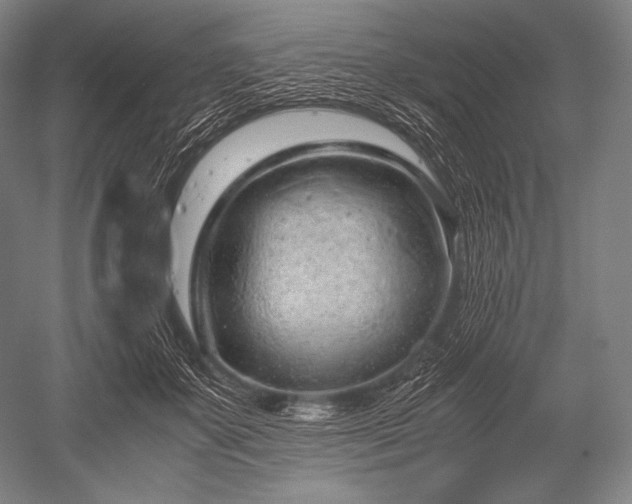 X0000052560507200507081639