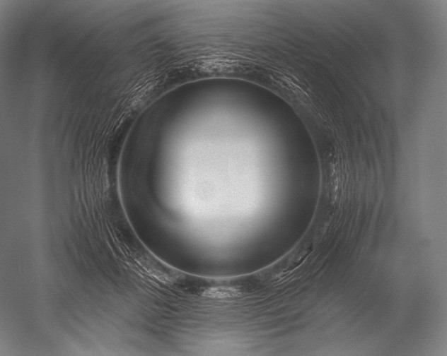 X0000052560508200507081639