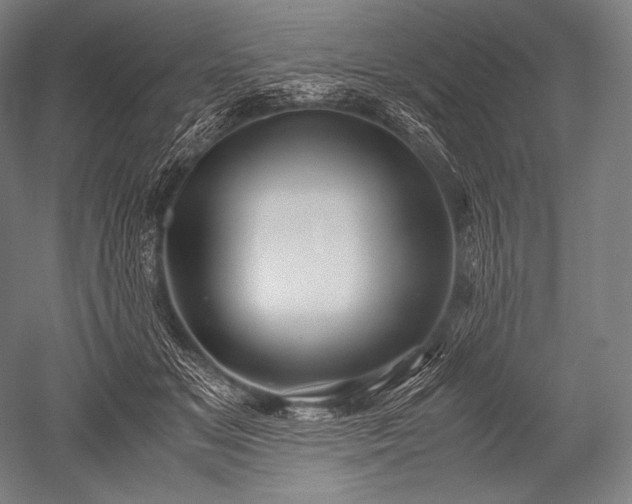 X0000052560509200507081639