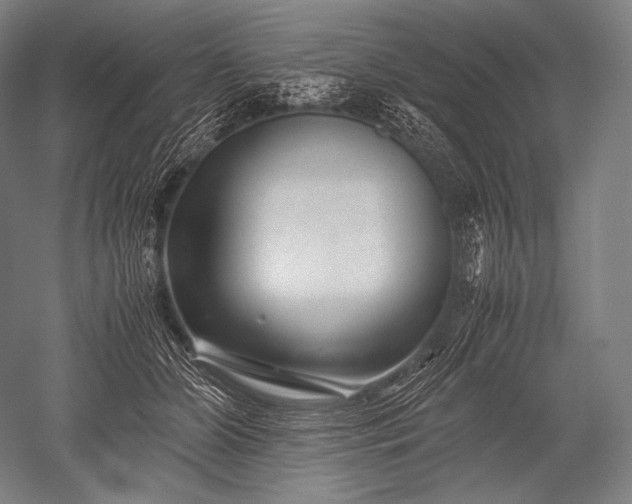 X0000052560510200507081639