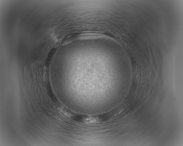 X0000052560511200507081639