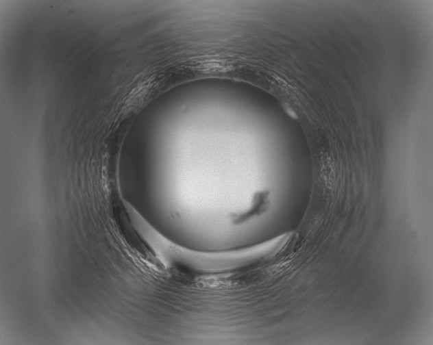 X0000052560512200507081639