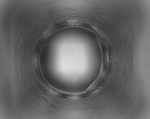 X0000052560513200507081639