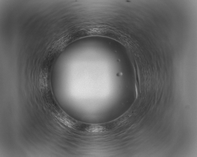 X0000052560514200507081639