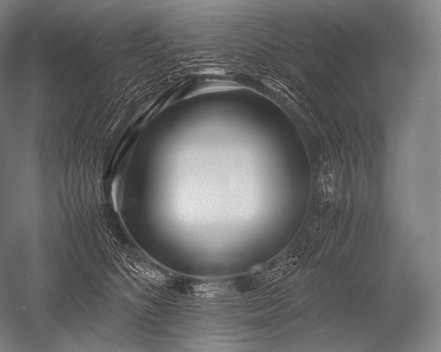 X0000052560516200507081639